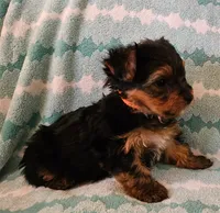 processed/32fe6732-64f9-4c02-aaf6-dac00ee5ec4f/listing/1915bb2e-32c4-440e-b66d-e0cfd34524a3/525f2359-85dd-44f4-9de2-684a2cde4145