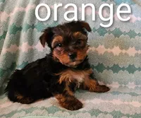 processed/32fe6732-64f9-4c02-aaf6-dac00ee5ec4f/listing/1915bb2e-32c4-440e-b66d-e0cfd34524a3/85b00116-0d3b-4949-b318-0d1e5a1d38c3