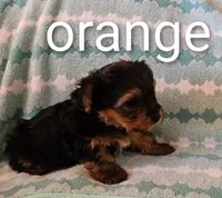 processed/32fe6732-64f9-4c02-aaf6-dac00ee5ec4f/listing/1915bb2e-32c4-440e-b66d-e0cfd34524a3/e47dbfdd-8b24-4fdc-8911-a68b7322752c