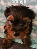 processed/32fe6732-64f9-4c02-aaf6-dac00ee5ec4f/listing/1915bb2e-32c4-440e-b66d-e0cfd34524a3/ff042804-0523-40c8-acc4-17e27f25382a