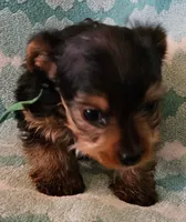 processed/32fe6732-64f9-4c02-aaf6-dac00ee5ec4f/listing/ac742e81-f860-4381-a4ff-5332d47b6e1b/097ab7d0-0674-4039-9b4b-ebd5c4599ddd