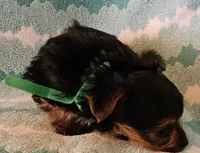 processed/32fe6732-64f9-4c02-aaf6-dac00ee5ec4f/listing/ac742e81-f860-4381-a4ff-5332d47b6e1b/148c3295-c42e-4636-971b-47f2f24a2afc