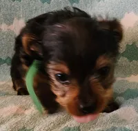 processed/32fe6732-64f9-4c02-aaf6-dac00ee5ec4f/listing/ac742e81-f860-4381-a4ff-5332d47b6e1b/2121b2ce-45b8-4b9c-a33a-279b98424413