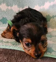 processed/32fe6732-64f9-4c02-aaf6-dac00ee5ec4f/listing/ac742e81-f860-4381-a4ff-5332d47b6e1b/3e6e4f01-4794-4564-aa6f-89c4393986a6