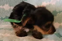 processed/32fe6732-64f9-4c02-aaf6-dac00ee5ec4f/listing/ac742e81-f860-4381-a4ff-5332d47b6e1b/a5209d1d-5f06-4b7a-a8e3-da7f54284a32