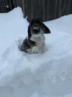 processed/3301935d-69b7-4fbe-b7d1-3f5f3e631508/listing/14c15f57-49fc-406c-a4ba-d5bab98a03ee/1c2bd388-e292-4e67-a093-eceb009b83f9