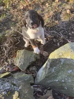 processed/3301935d-69b7-4fbe-b7d1-3f5f3e631508/listing/14c15f57-49fc-406c-a4ba-d5bab98a03ee/e64851dc-5349-4b76-bf4b-a2a570b39930