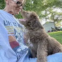 processed/330611b0-2408-4aed-9291-b224d24a0f61/facility/b1682b7c-5e99-4316-99e2-c45816c4cc3c