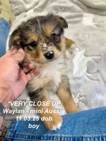 processed/330611b0-2408-4aed-9291-b224d24a0f61/listing/c234c894-7489-4723-9dd0-f2584537c2de/127d312b-5885-485f-a64d-35026d228d9c