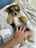 processed/330611b0-2408-4aed-9291-b224d24a0f61/listing/c234c894-7489-4723-9dd0-f2584537c2de/2848320e-a652-49da-b1da-f1f63e65c9b8