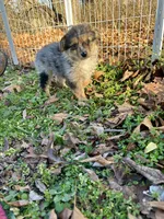 processed/330611b0-2408-4aed-9291-b224d24a0f61/listing/c234c894-7489-4723-9dd0-f2584537c2de/59052613-4489-484f-b9c6-dc9d142b07cc