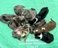 processed/330611b0-2408-4aed-9291-b224d24a0f61/listing/c234c894-7489-4723-9dd0-f2584537c2de/7b8f725d-a2e0-49c2-8169-5c31cea75d41