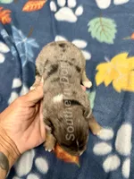 processed/330611b0-2408-4aed-9291-b224d24a0f61/listing/c234c894-7489-4723-9dd0-f2584537c2de/f2c085c0-48c1-4e7b-adac-23dd6df2e73a