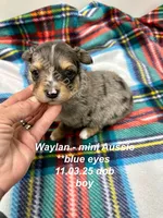 processed/330611b0-2408-4aed-9291-b224d24a0f61/listing/c234c894-7489-4723-9dd0-f2584537c2de/f2e7f5ce-24cb-481e-8fef-933d4a86ef83