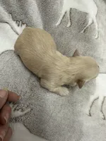 processed/330611b0-2408-4aed-9291-b224d24a0f61/listing/e18ff444-718a-45a9-b077-7cb8f283aded/3bfb8fcf-cc8b-4bb8-8652-0bc97b02cd57