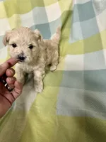 processed/330611b0-2408-4aed-9291-b224d24a0f61/listing/e18ff444-718a-45a9-b077-7cb8f283aded/3e432978-1c77-4665-a2ef-bc85ad98b187