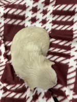 processed/330611b0-2408-4aed-9291-b224d24a0f61/listing/e18ff444-718a-45a9-b077-7cb8f283aded/5ffb5d80-4c43-4483-9e4f-b0e6a6785758