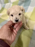 processed/330611b0-2408-4aed-9291-b224d24a0f61/listing/e18ff444-718a-45a9-b077-7cb8f283aded/70976cfa-19d0-4a86-94c0-7b37fa64cfb4