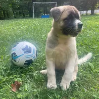 processed/330beacc-f609-4cce-b320-cab0b2244cef/facility/00fe364d-95a8-4cb2-b207-db618374396a