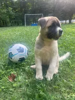 processed/330beacc-f609-4cce-b320-cab0b2244cef/facility/00fe364d-95a8-4cb2-b207-db618374396a