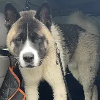 processed/330beacc-f609-4cce-b320-cab0b2244cef/facility/013fb5c2-1c6f-47b8-b45b-ba2b12fca05f