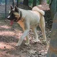 processed/330beacc-f609-4cce-b320-cab0b2244cef/facility/2cffb3e6-5a0f-4198-ba86-eed8f2301c28