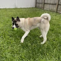 processed/330beacc-f609-4cce-b320-cab0b2244cef/facility/69109d33-75e1-4287-abbb-673825ad852a