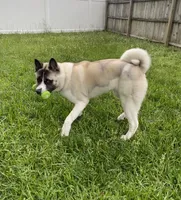 processed/330beacc-f609-4cce-b320-cab0b2244cef/facility/69109d33-75e1-4287-abbb-673825ad852a