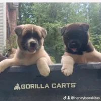 processed/330beacc-f609-4cce-b320-cab0b2244cef/facility/7e46e581-6a17-4850-9273-28478aee578c