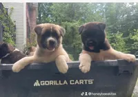 processed/330beacc-f609-4cce-b320-cab0b2244cef/facility/7e46e581-6a17-4850-9273-28478aee578c