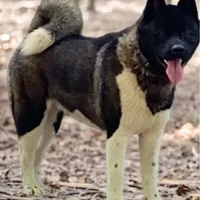 processed/330beacc-f609-4cce-b320-cab0b2244cef/facility/99ddb577-938b-42c4-b368-90846b5040df