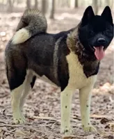 processed/330beacc-f609-4cce-b320-cab0b2244cef/facility/99ddb577-938b-42c4-b368-90846b5040df