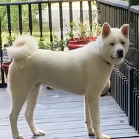 processed/330beacc-f609-4cce-b320-cab0b2244cef/facility/b0af6ad7-39ae-4ae8-96bc-9ad81a4ef2a2