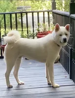 processed/330beacc-f609-4cce-b320-cab0b2244cef/facility/b0af6ad7-39ae-4ae8-96bc-9ad81a4ef2a2