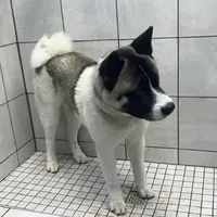 processed/330beacc-f609-4cce-b320-cab0b2244cef/facility/ba5fbacc-2cb4-41fa-91a3-24045f059c8f