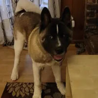 processed/330beacc-f609-4cce-b320-cab0b2244cef/facility/ce02fce0-4c41-49c0-844f-c226b8f9f0cd