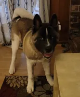 processed/330beacc-f609-4cce-b320-cab0b2244cef/facility/ce02fce0-4c41-49c0-844f-c226b8f9f0cd