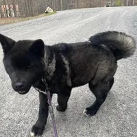 processed/330beacc-f609-4cce-b320-cab0b2244cef/facility/f276db69-9feb-4917-ad46-63a0761783be