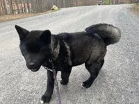 processed/330beacc-f609-4cce-b320-cab0b2244cef/facility/f276db69-9feb-4917-ad46-63a0761783be