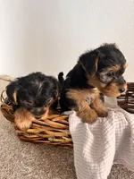 processed/330f2b5d-944c-4ef7-9207-537c461c4f21/facility/d20ba873-5415-4275-b7e2-959ce296be79