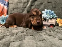 processed/331666b3-33ef-434e-b349-9fda26ede0e9/listing/77a4eca8-3467-47db-8a94-c8be9e229949/66efde90-2120-439e-9d24-e03b80854fea