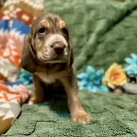 processed/331666b3-33ef-434e-b349-9fda26ede0e9/listing/8cc6bfa1-69ab-4f19-a2ee-856bf7d8fc3e/5902b5cd-37df-49a0-a846-075d61468baf