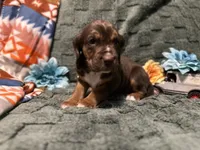 processed/331666b3-33ef-434e-b349-9fda26ede0e9/listing/9edbd944-4a36-41bd-a2fd-89934668be67/547b0577-4dd4-4c8b-8fac-a444471c71e8