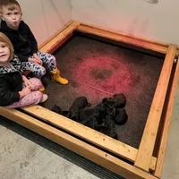 processed/331d3ffd-b07b-45b0-b34f-61f5e952e581/facility/03efb65c-90aa-427a-b777-7d8de874b40c