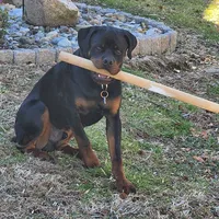 processed/331d3ffd-b07b-45b0-b34f-61f5e952e581/facility/d78229a6-352f-4b90-9e4f-75a750488028