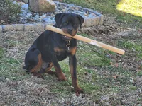 processed/331d3ffd-b07b-45b0-b34f-61f5e952e581/facility/d78229a6-352f-4b90-9e4f-75a750488028