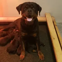 processed/331d3ffd-b07b-45b0-b34f-61f5e952e581/facility/d81b75ea-a859-445a-a618-48d1bdaa27f4