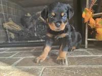 processed/331d3ffd-b07b-45b0-b34f-61f5e952e581/listing/43e5da76-b150-4866-84f8-df4a5a6a5629/67524295-5a33-4b7e-aab5-11b1ea1bbd15