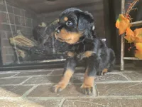 processed/331d3ffd-b07b-45b0-b34f-61f5e952e581/listing/43e5da76-b150-4866-84f8-df4a5a6a5629/fe7c46d1-9477-472a-be6c-e72b3de23535