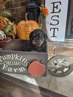 processed/331d3ffd-b07b-45b0-b34f-61f5e952e581/listing/4d6f9f1d-e733-42ec-9323-53b55a8db603/17696093-7ae2-4971-bc19-cbd618b36582